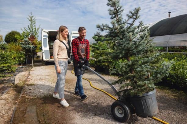 Leaf Removal in Wolverine Lake, MI